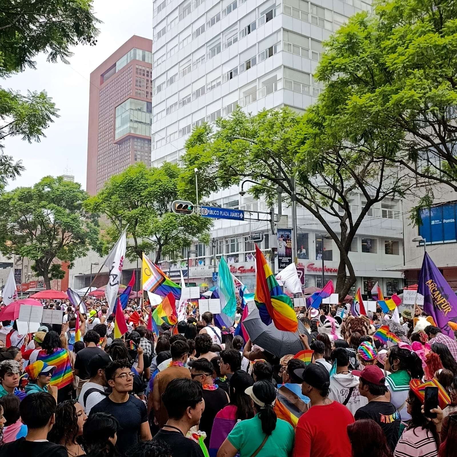 La paradoja de junio : El orgullo como protesta en México